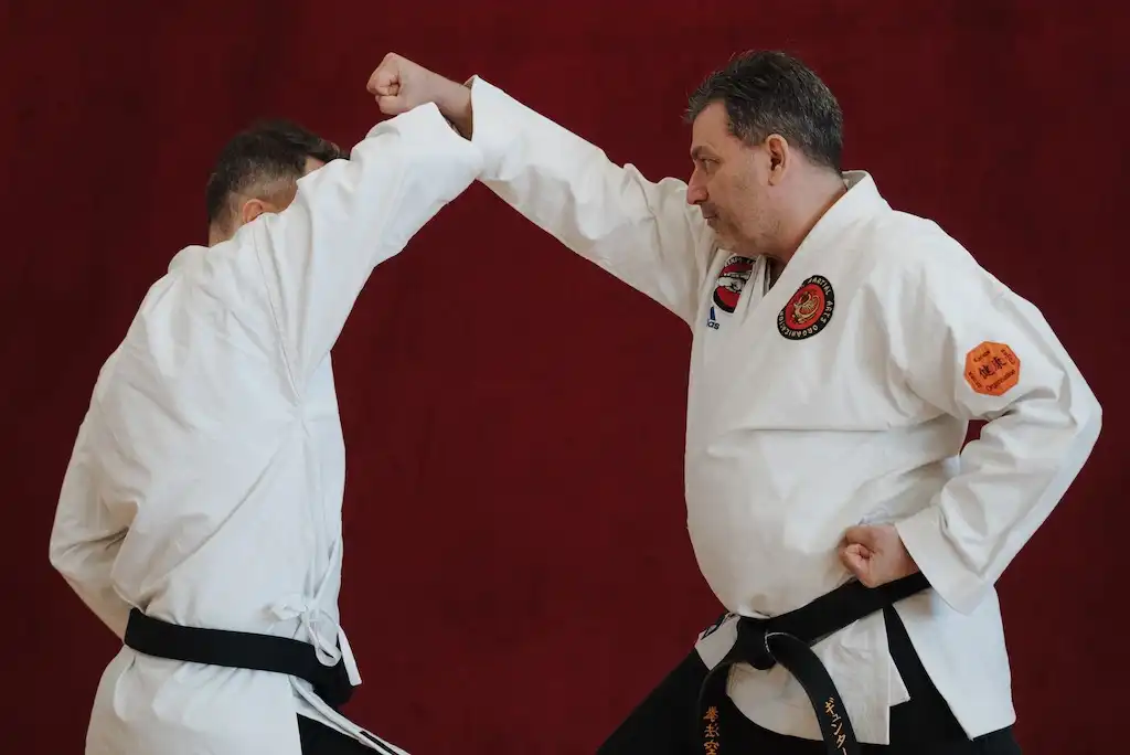  Neigong Karate Austria Gallery Bild -  - 6