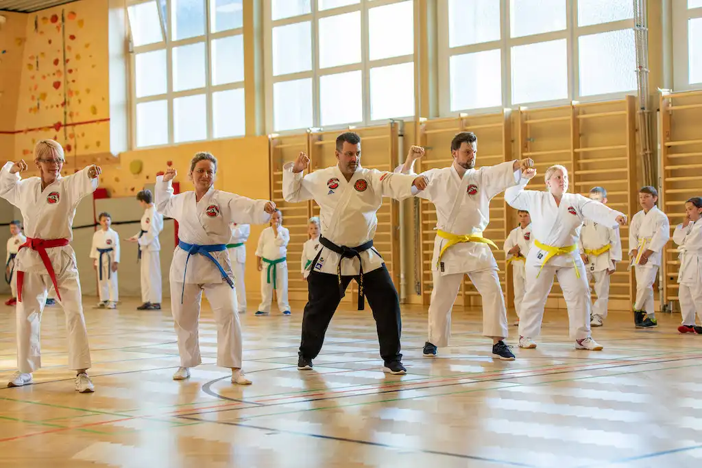  Trainer Karateschule Neigong Austria Bild - 0